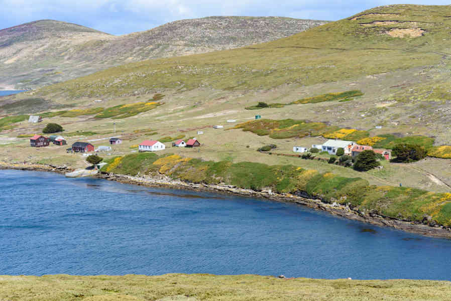 Islas Falkland o Malvinas 056- New Island.jpg